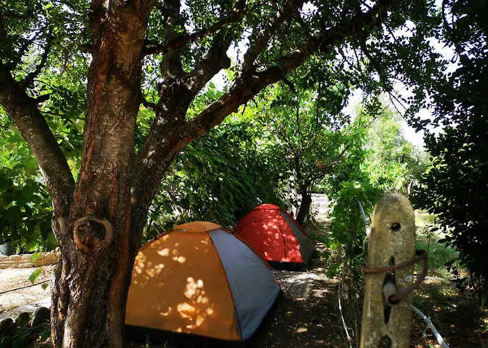 Pinnettu Sardo Casa Di Campagna In Ecosistema Insetti E Animaletti Simpatici In Condivisione,Leggere Attentamente Prima Di Prenotare