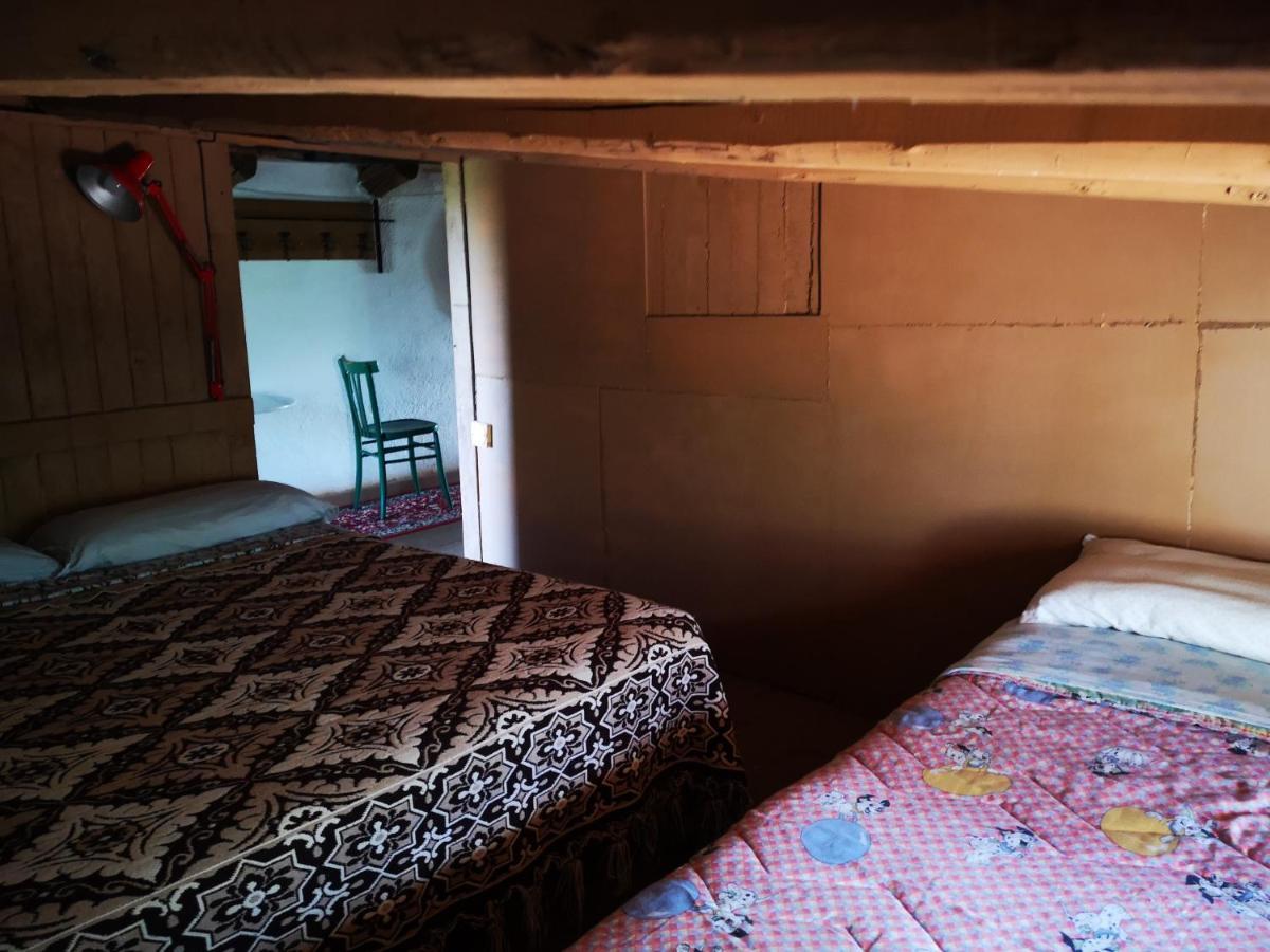 Pinnettu Sardo In Ecosistema Insetti E Animaletti Simpatici In Condivisione,leggere Attentamente Prima Di Prenotare Casa de Campo Oliena