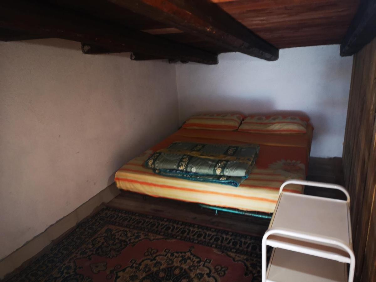 Pinnettu Sardo In Ecosistema Insetti E Animaletti Simpatici In Condivisione,leggere Attentamente Prima Di Prenotare Casa de Campo Oliena