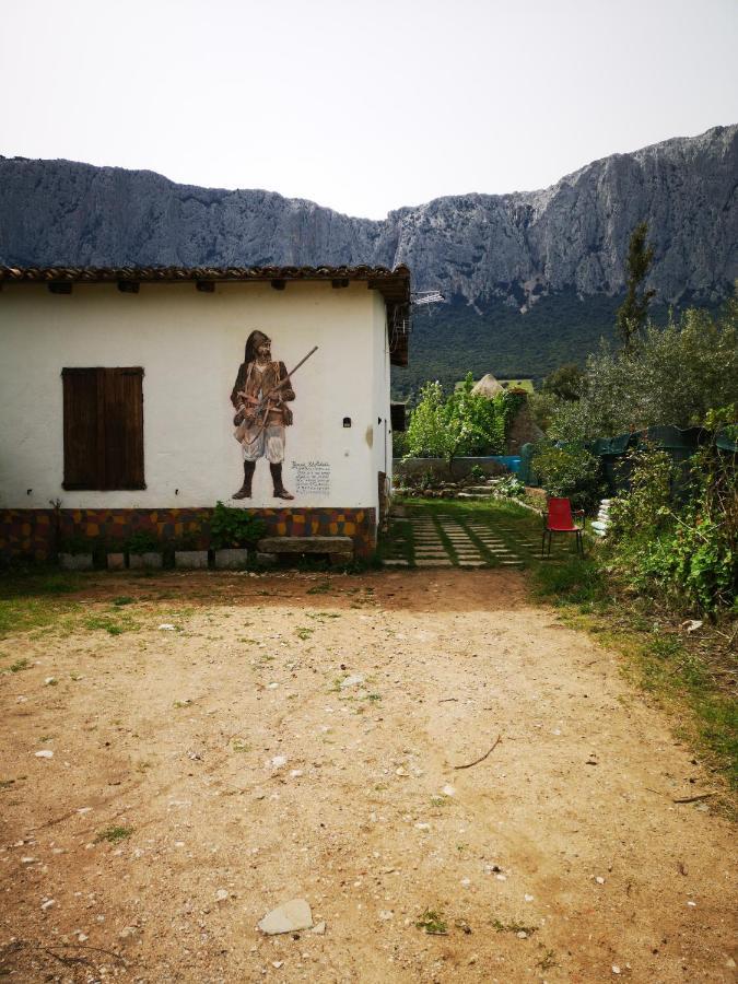 Casa de Campo Pinnettu Sardo In Ecosistema Insetti E Animaletti Simpatici In Condivisione,leggere Attentamente Prima Di Prenotare *